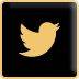 toa-twitter-icon
