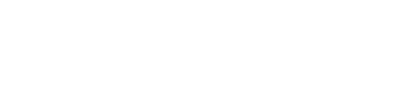 ACE COMBAT 8 Logo