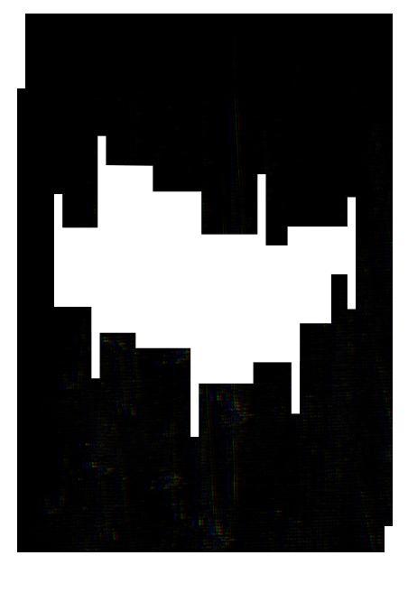 Initial Image