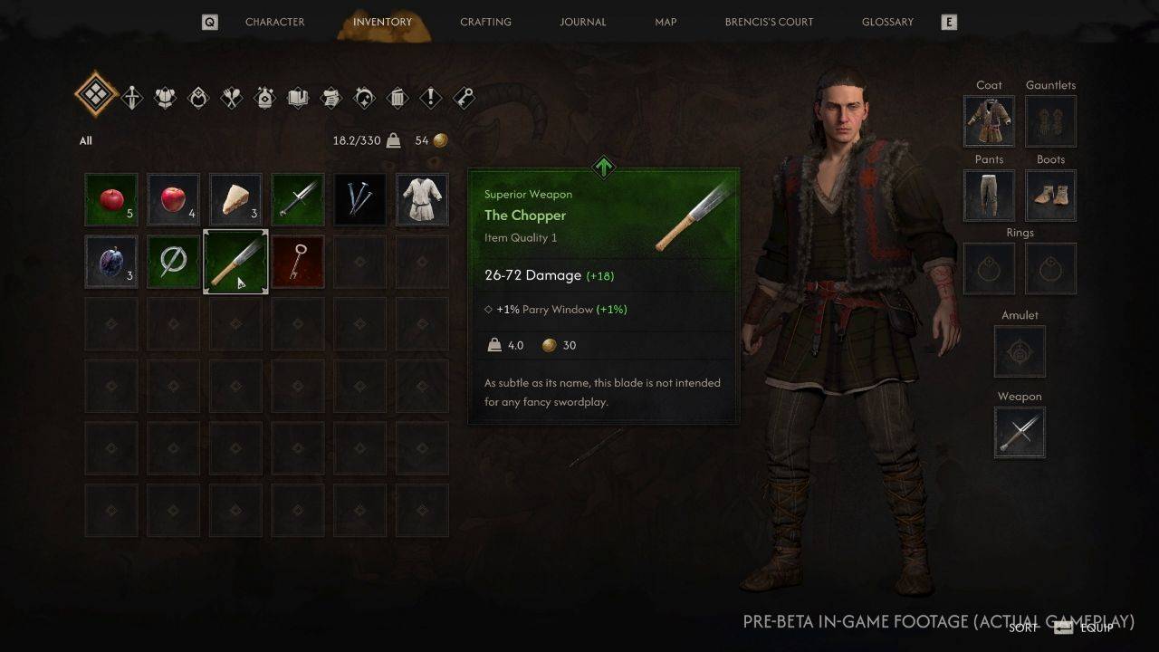 Inventory and progression interface in The Blood of Dawnwalker
