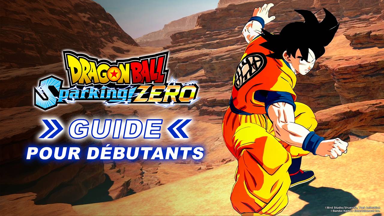 beginner's guide