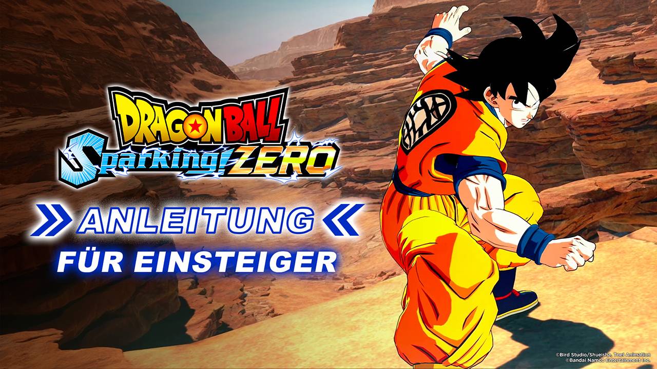 beginner's guide