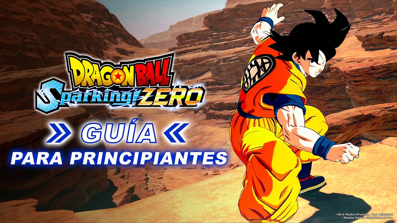 beginner's guide