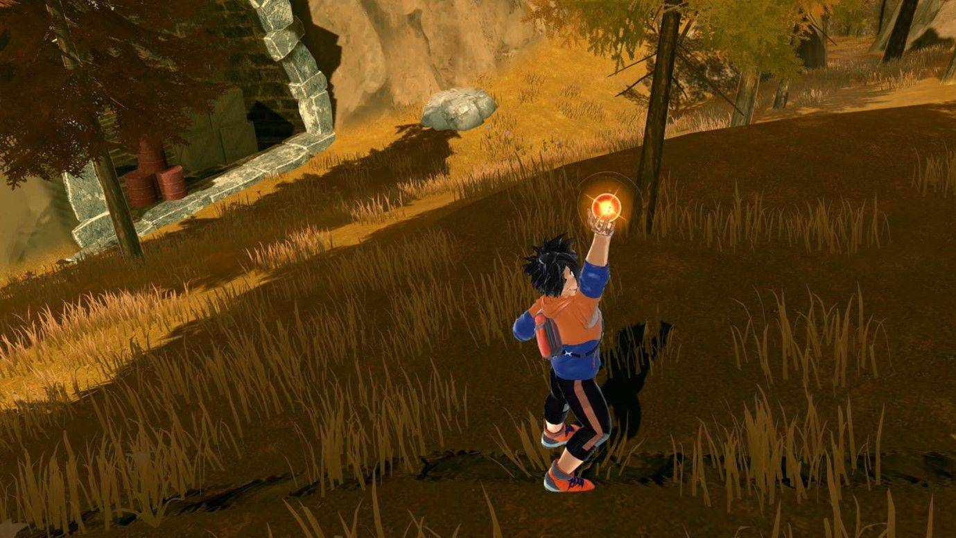 dbtb_item_dragon-ball