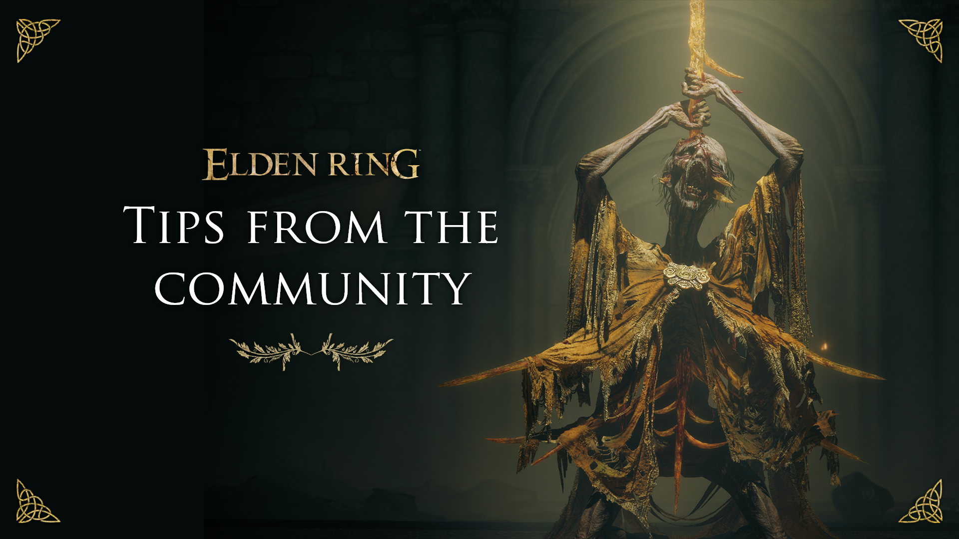 ERSOTE Tips from the community