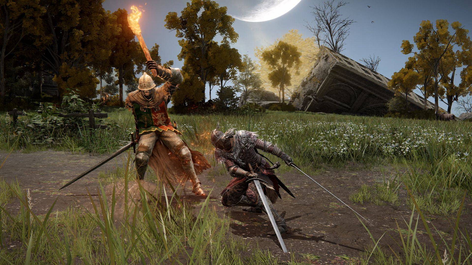 Elden Ring two swords attacks