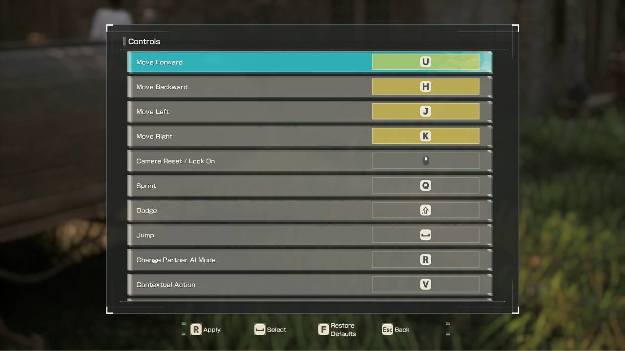 Custom remapped keyboard controls in the settings menu