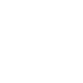 toa_icon
