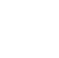 toa_icon